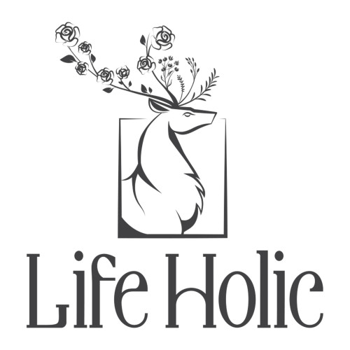 LifeHolic