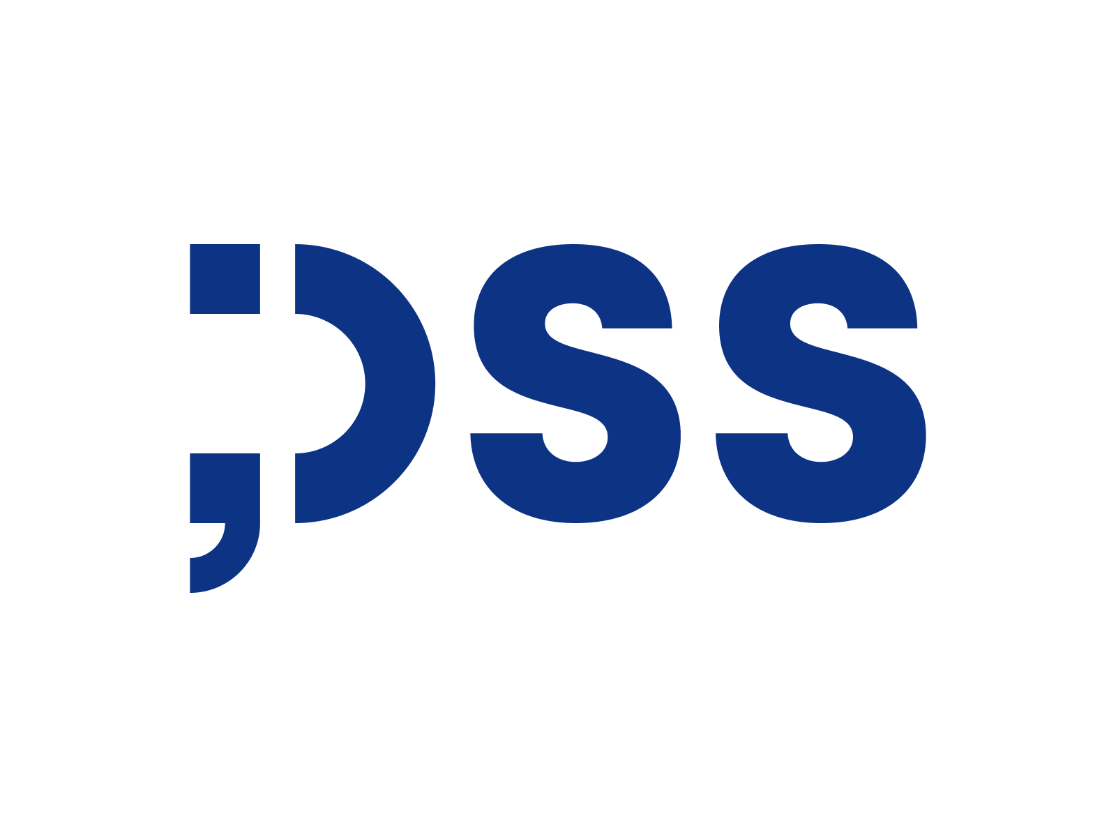 DSS - Digital and Software Solutions