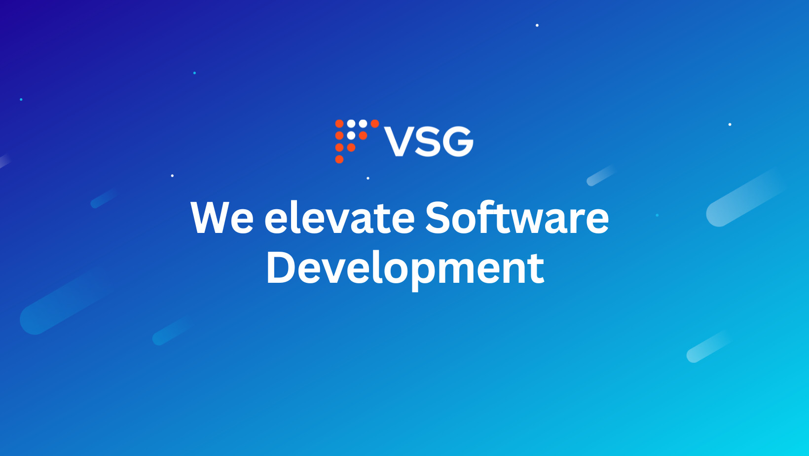 VSG Bulgaria - Problem-Solving Software